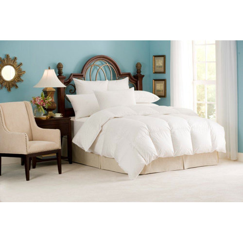 Downright Nirvana 700 700in³/oz Fill Power Goose Down Summer Down Comforter & Reviews Perigold